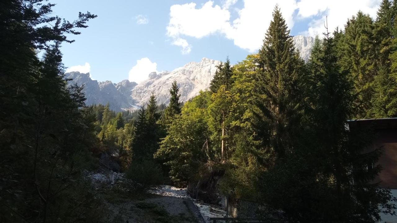 Appartmenthaus Hochkoenig Muhlbach Am Hochkonig Ngoại thất bức ảnh