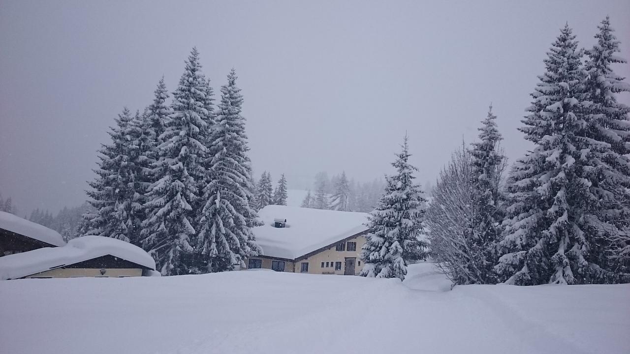 Appartmenthaus Hochkoenig Muhlbach Am Hochkonig Ngoại thất bức ảnh